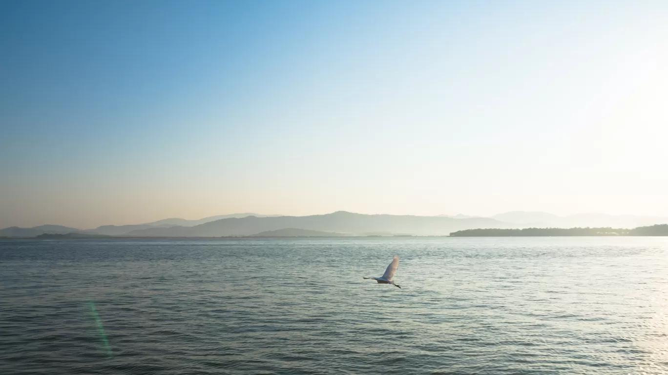 Photo of Nirvana Beach By Sayan Sen