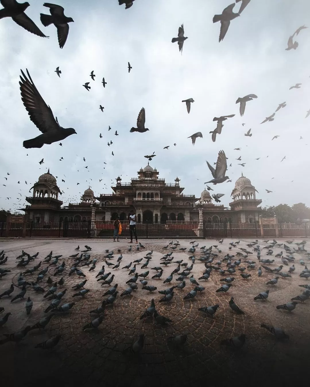 Photo of Jaipur By Unplugged Camera