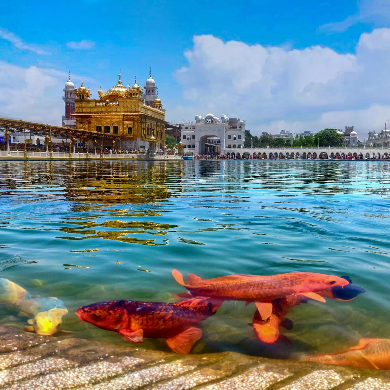 Photo of Sri Harmandir Sahib By Nikshep K