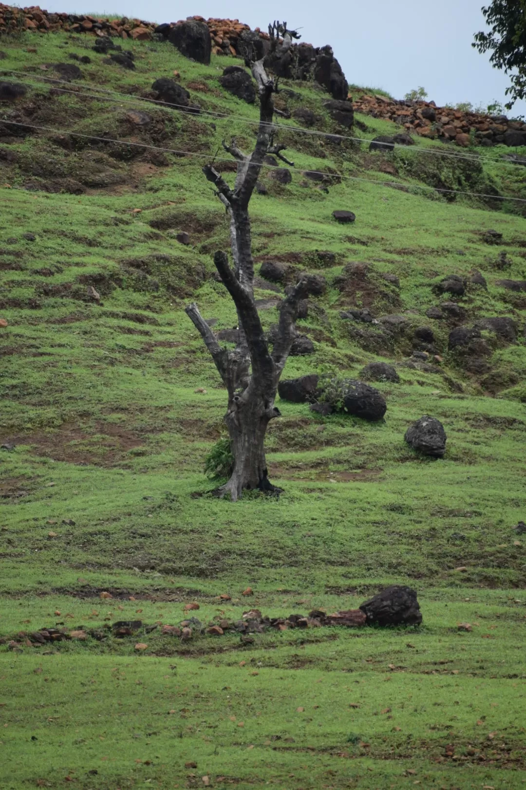Photo of Patalkot By Anushka Amlathe
