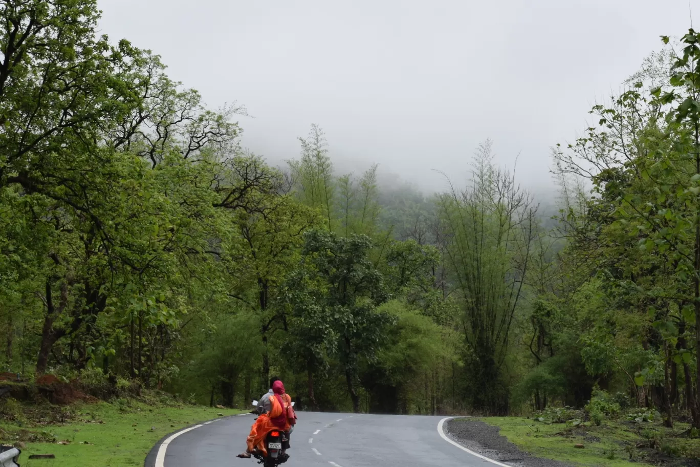 Photo of Satpura By Anushka Amlathe