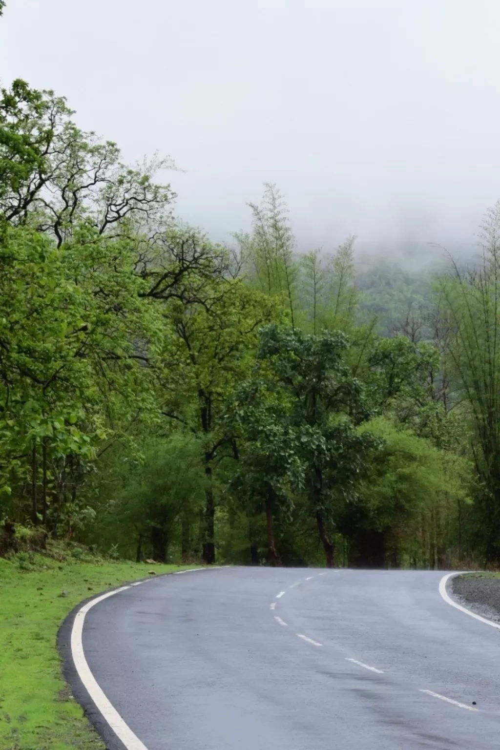 Photo of Satpura By Anushka Amlathe