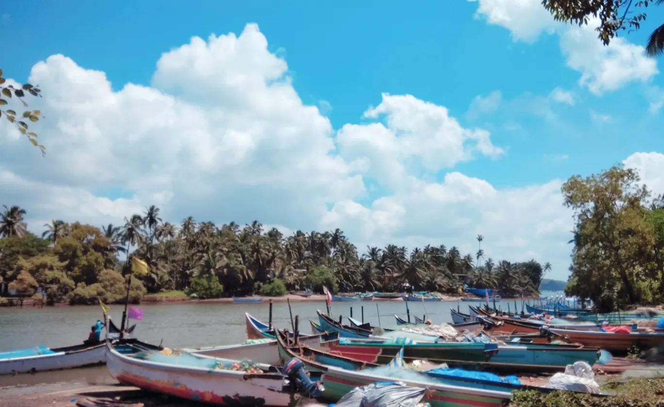 Photo of Goa By Shreya Kekkar