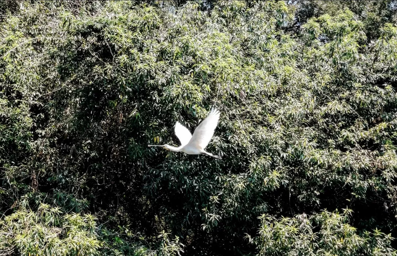 Photo of Ranganathittu Bird Sanctuary By Prabhakar Singh