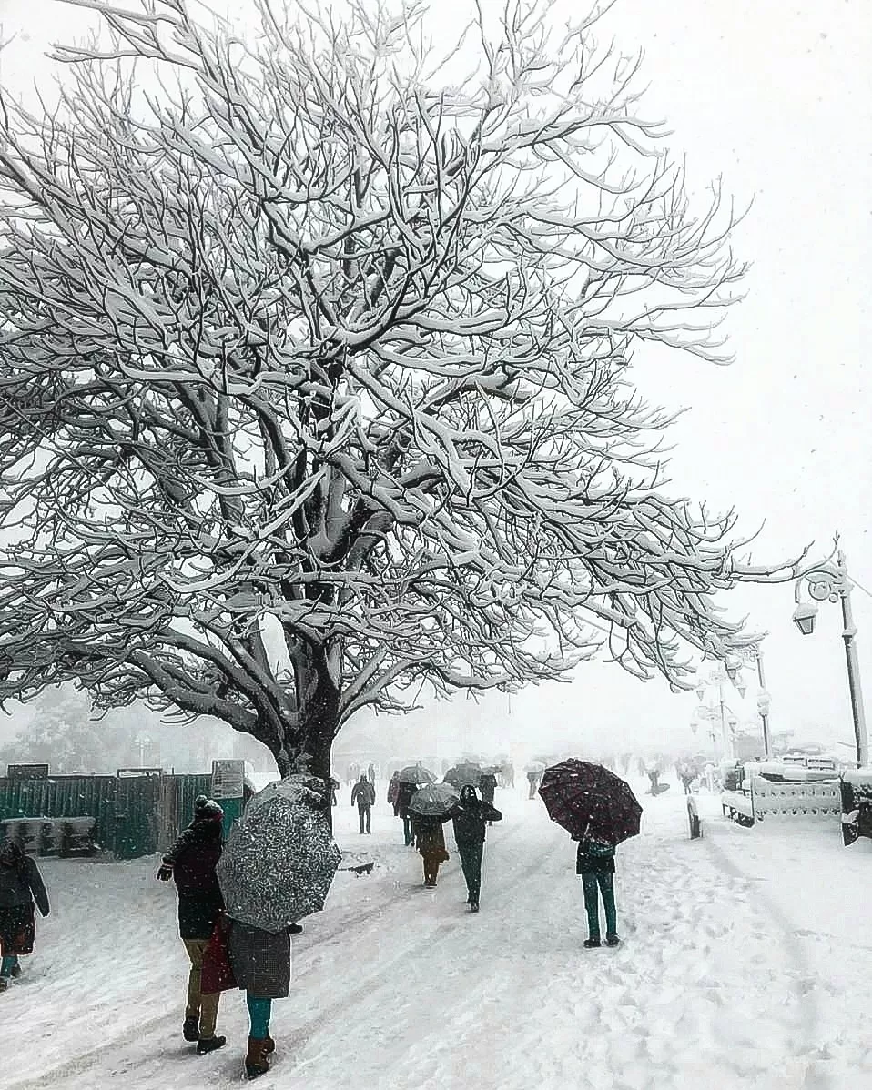 Photo of Himachal Pradesh By bikash yadav