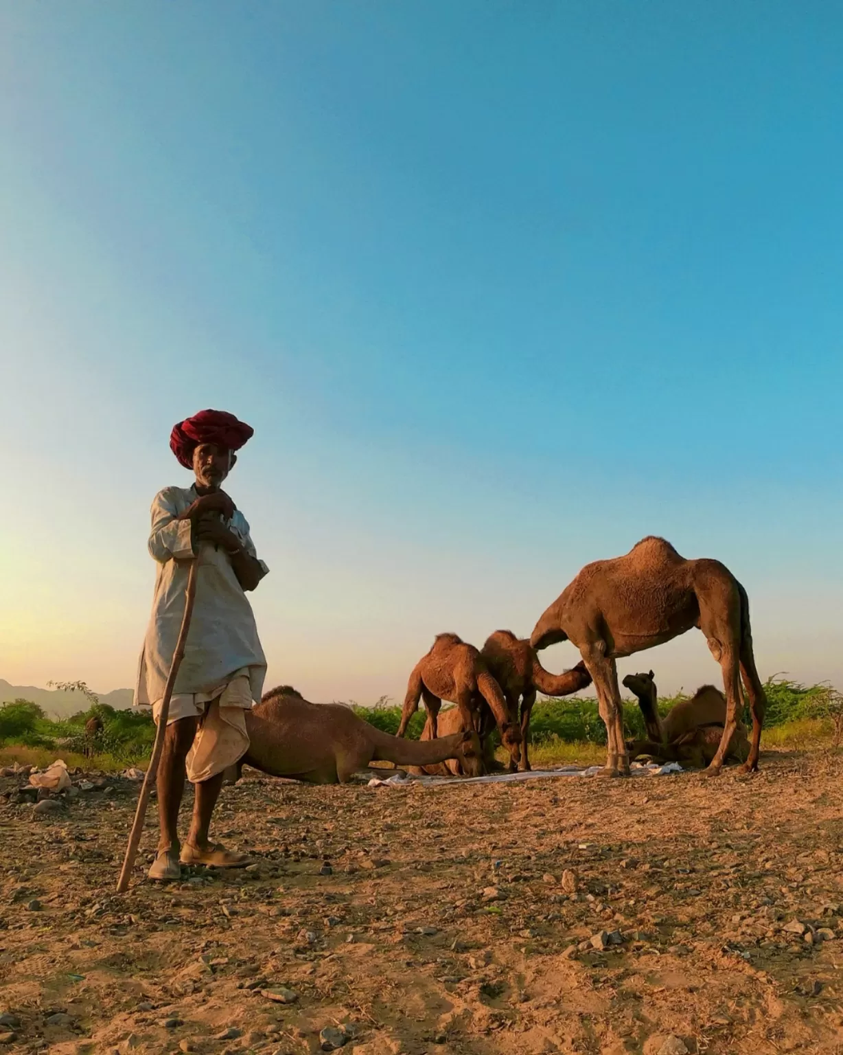 Photo of Pushkar By bikash yadav