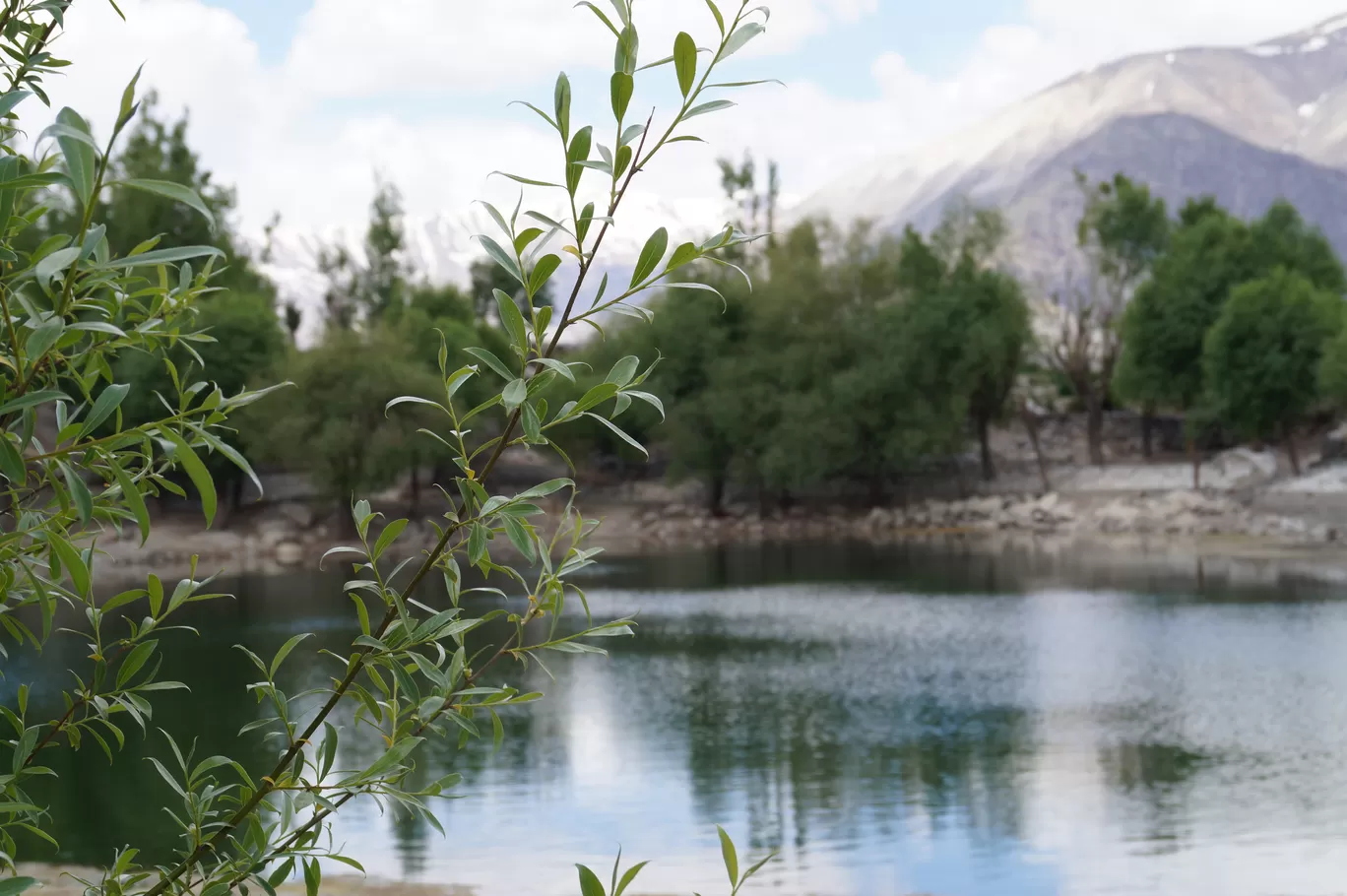 Photo of Himachal Pradesh By Karishma KS