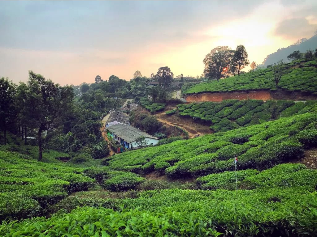 Photo of Munnar By Bhawna Sharma