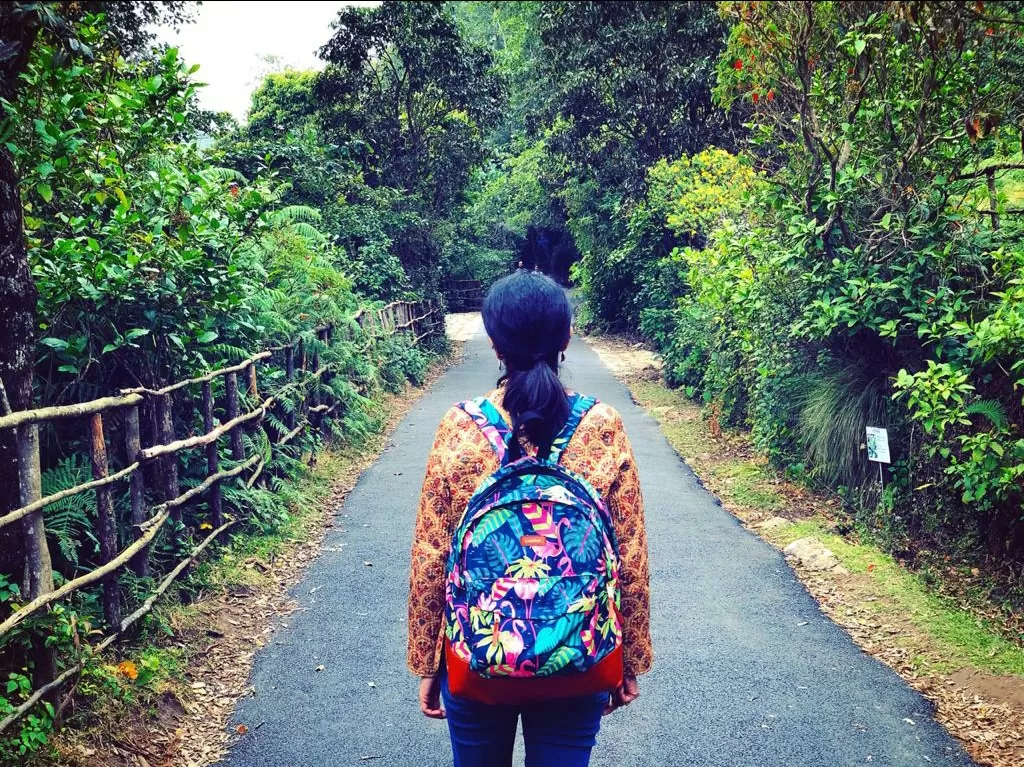 Photo of Munnar By Bhawna Sharma