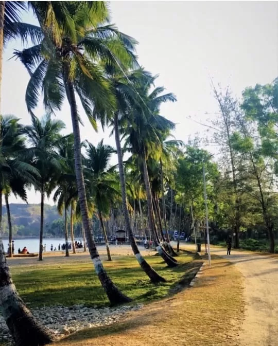 Photo of Andaman Islands By Shreya P