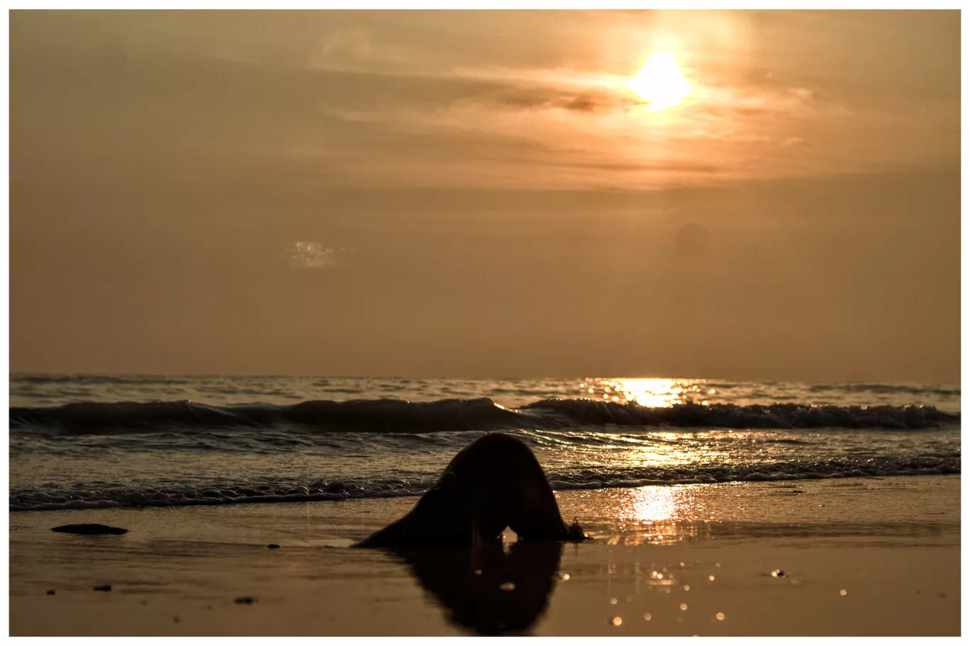 Photo of Andaman and Nicobar Islands By Ashwin Ram