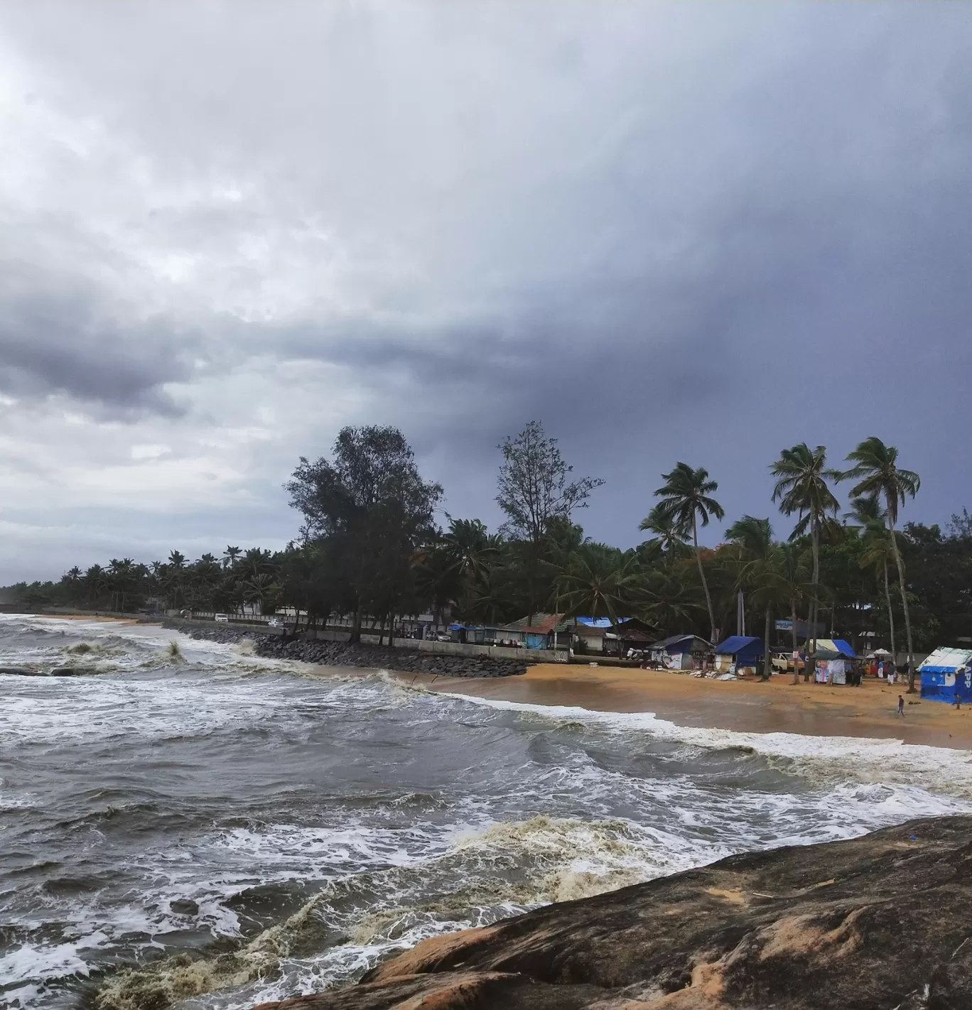 Photo of Wayanad By Sushmita Saxena 