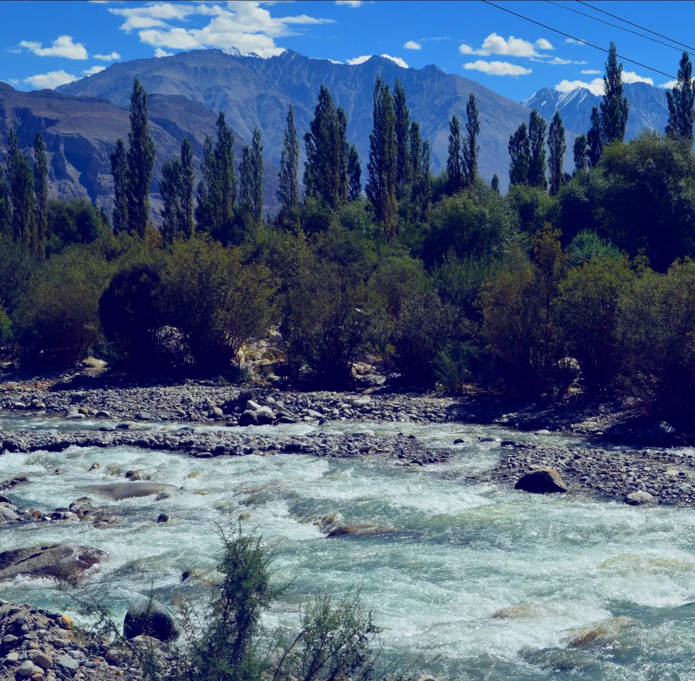 Photo of Ladakh By Sushmita Saxena 