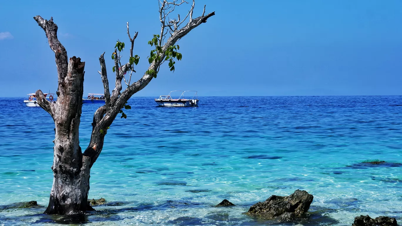Photo of Andaman Islands By Sumedh Gb