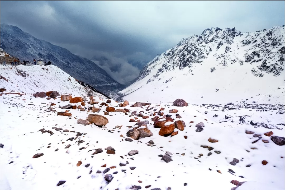 Photo of Chopta Valley By subhadip saha