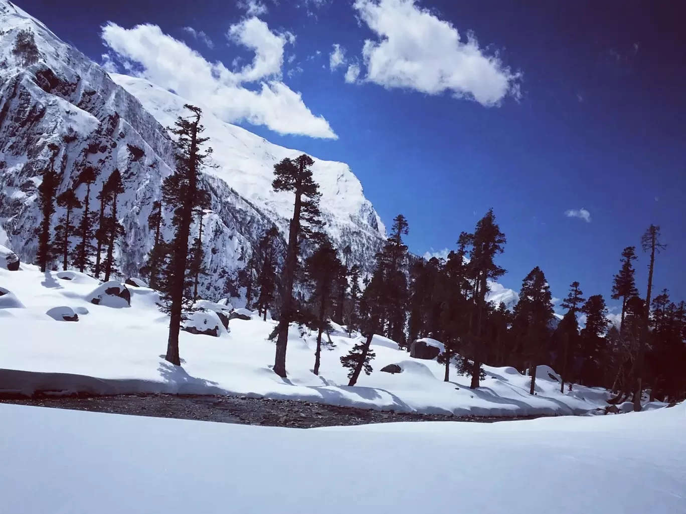 Photo of Uttarakhand By Id Sharad Upadhyay
