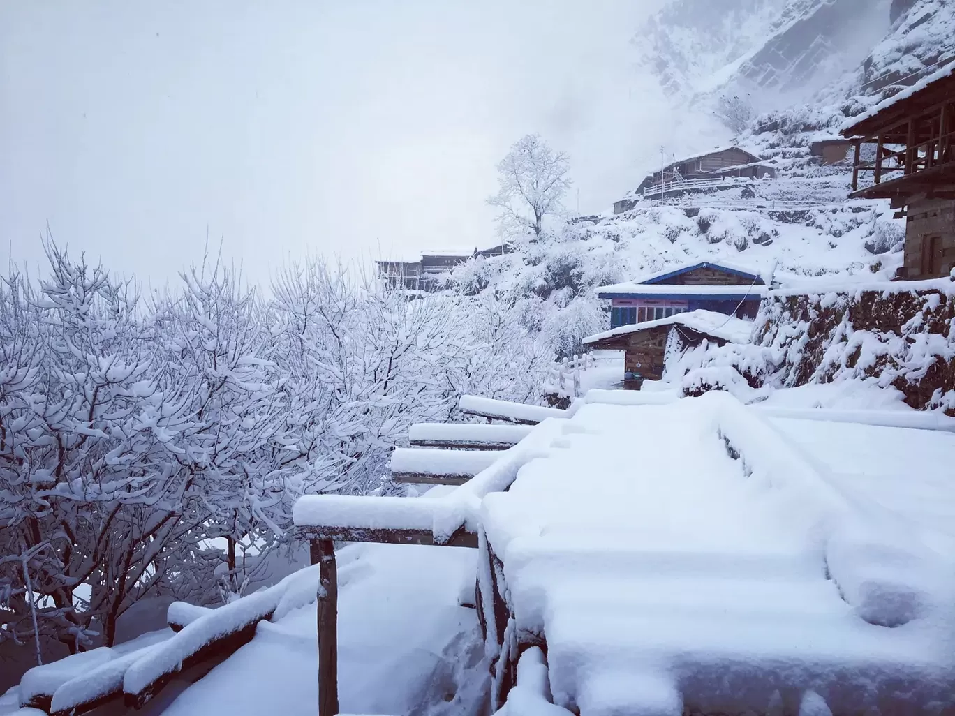 Photo of Uttarakhand By Id Sharad Upadhyay