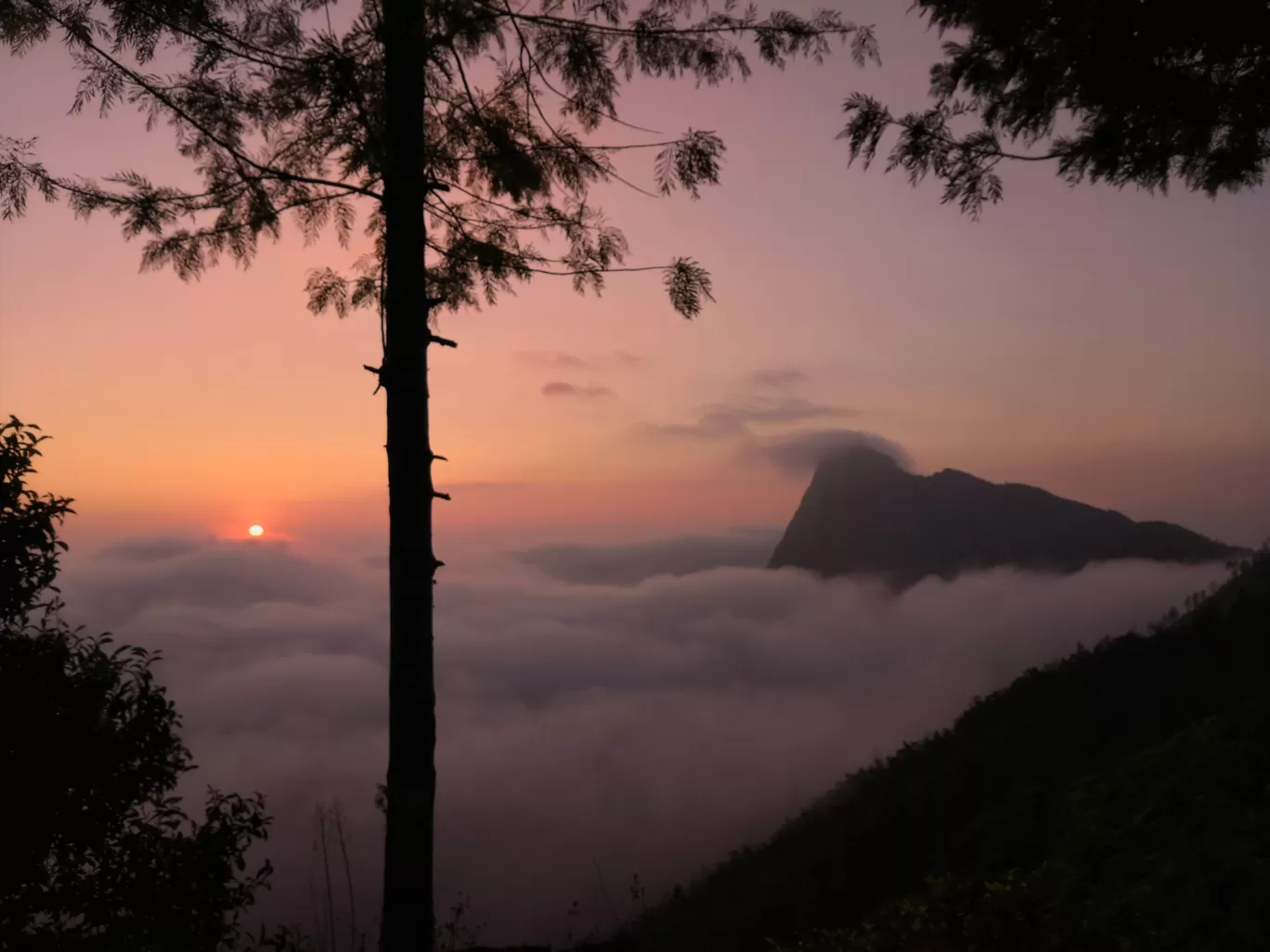Photo of Kolukkumalai Tea Estate By Sudeep Puthalath