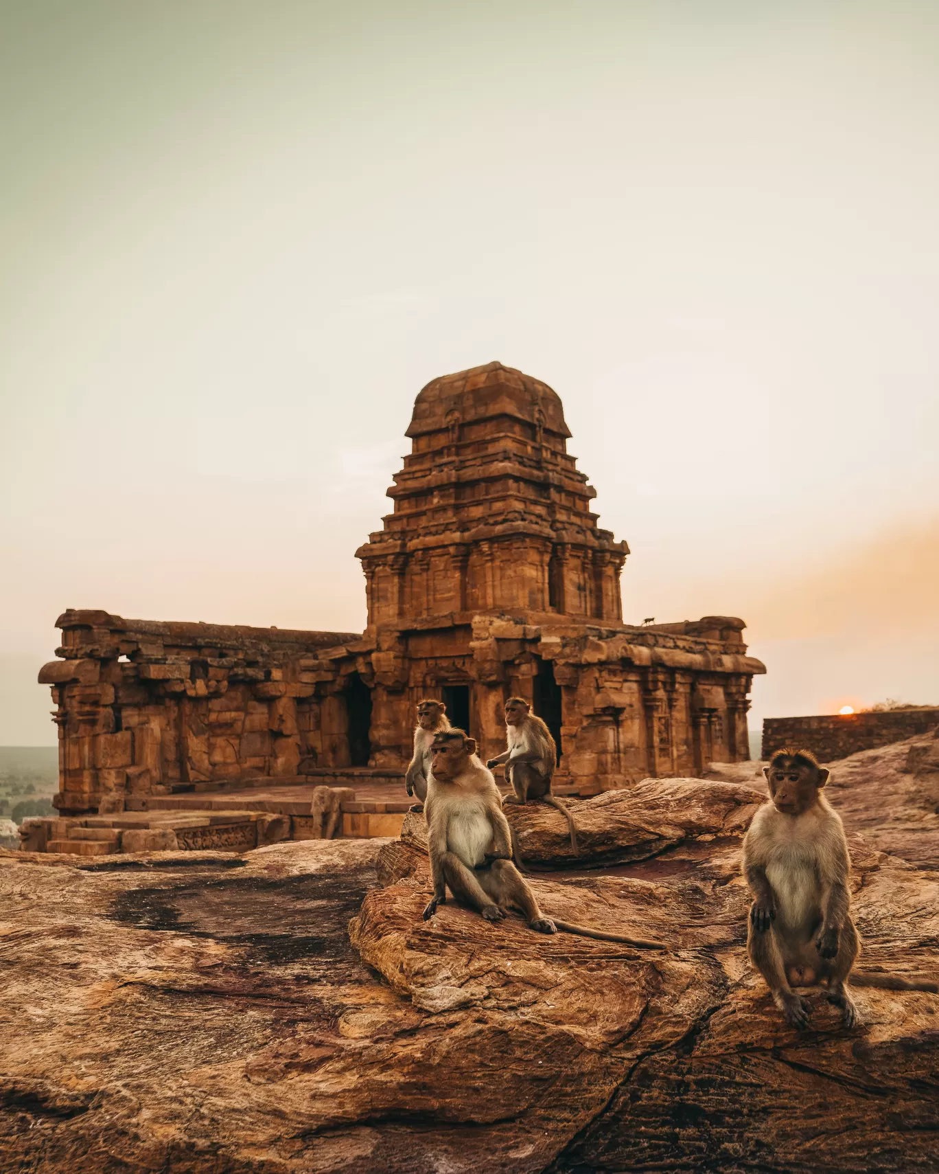 Photo of Badami By Ajmal Roshan