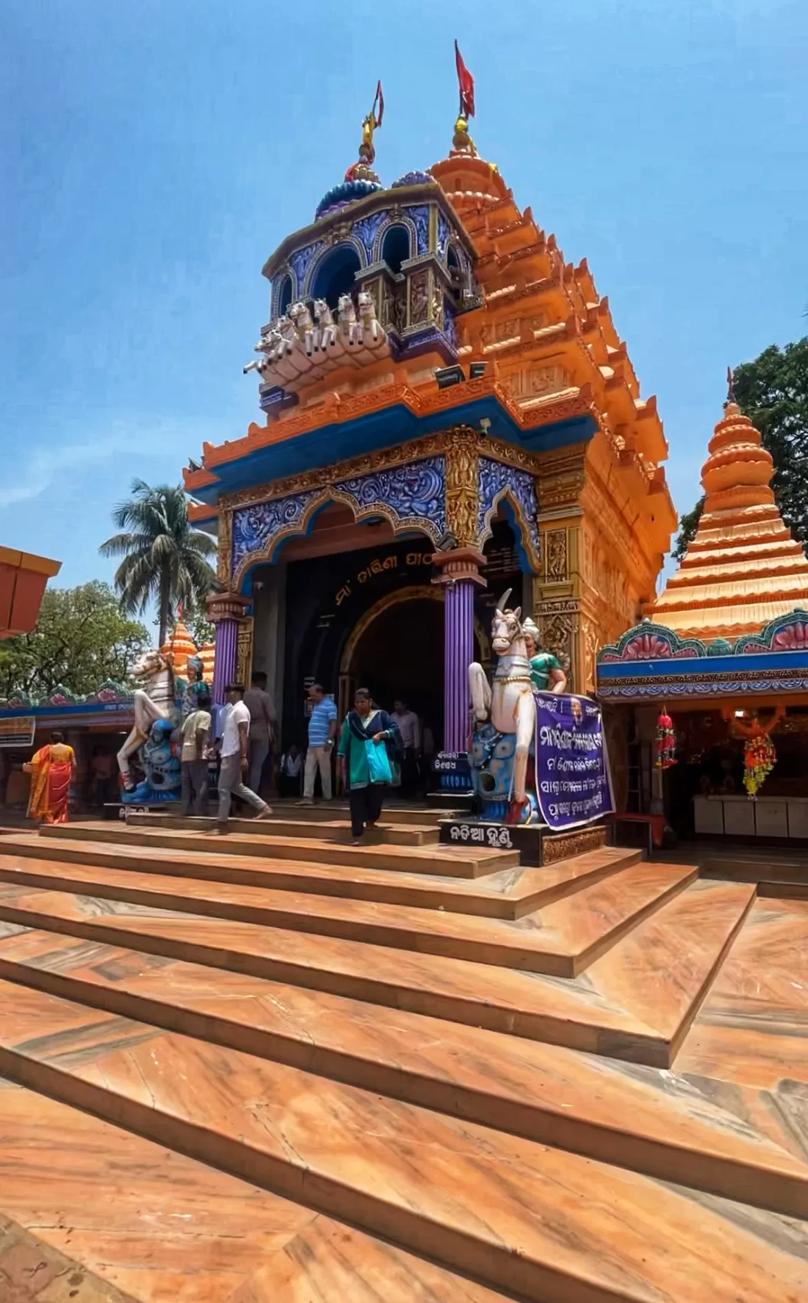 Photo of Maa Tarini Temple By sagar lama