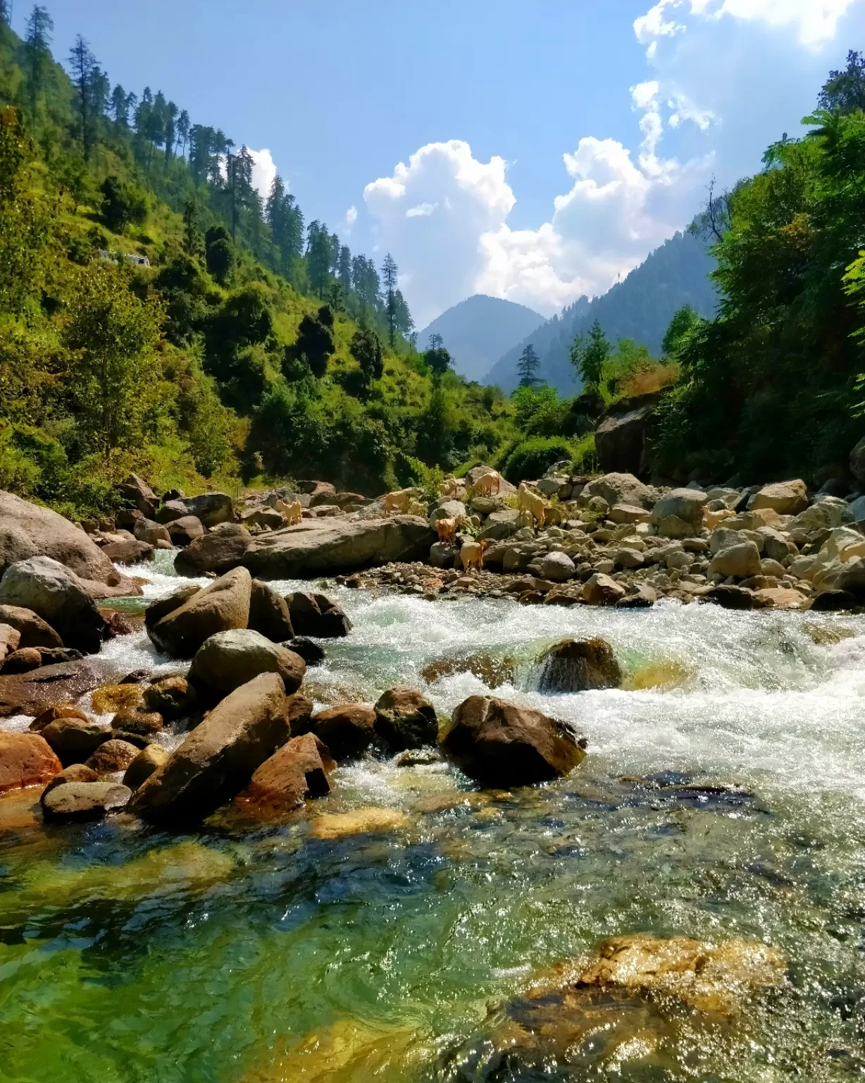 Photo of Tirthan Valley By globetrottergoenka