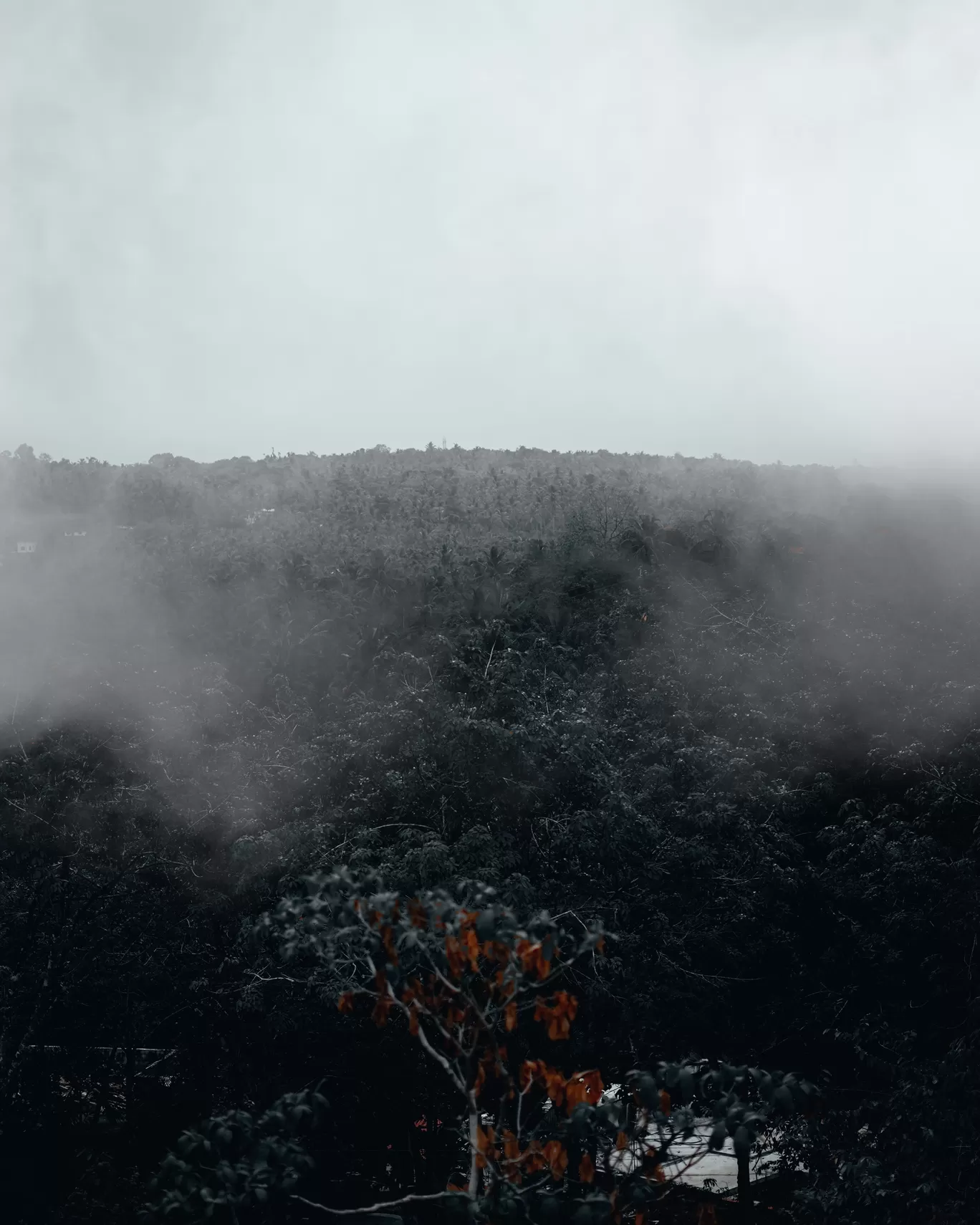 Photo of Kerala By Nihal Muhammed