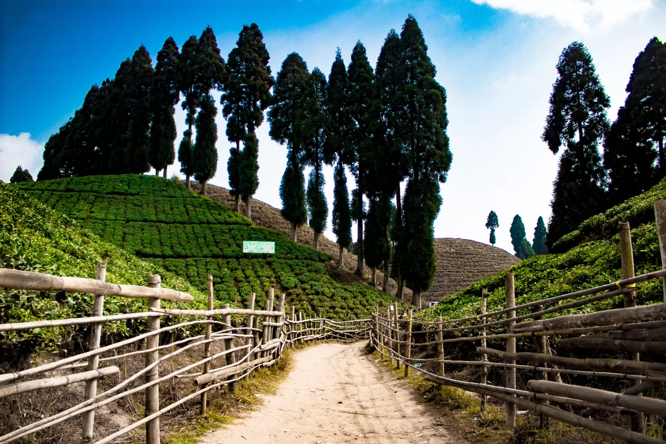 Photo of Darjeeling By Sanya Karna