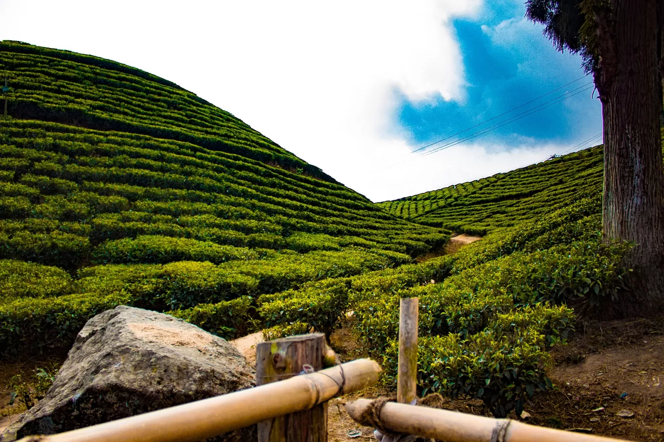 Photo of Darjeeling By Sanya Karna