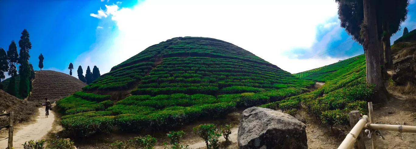 Photo of Darjeeling By Sanya Karna
