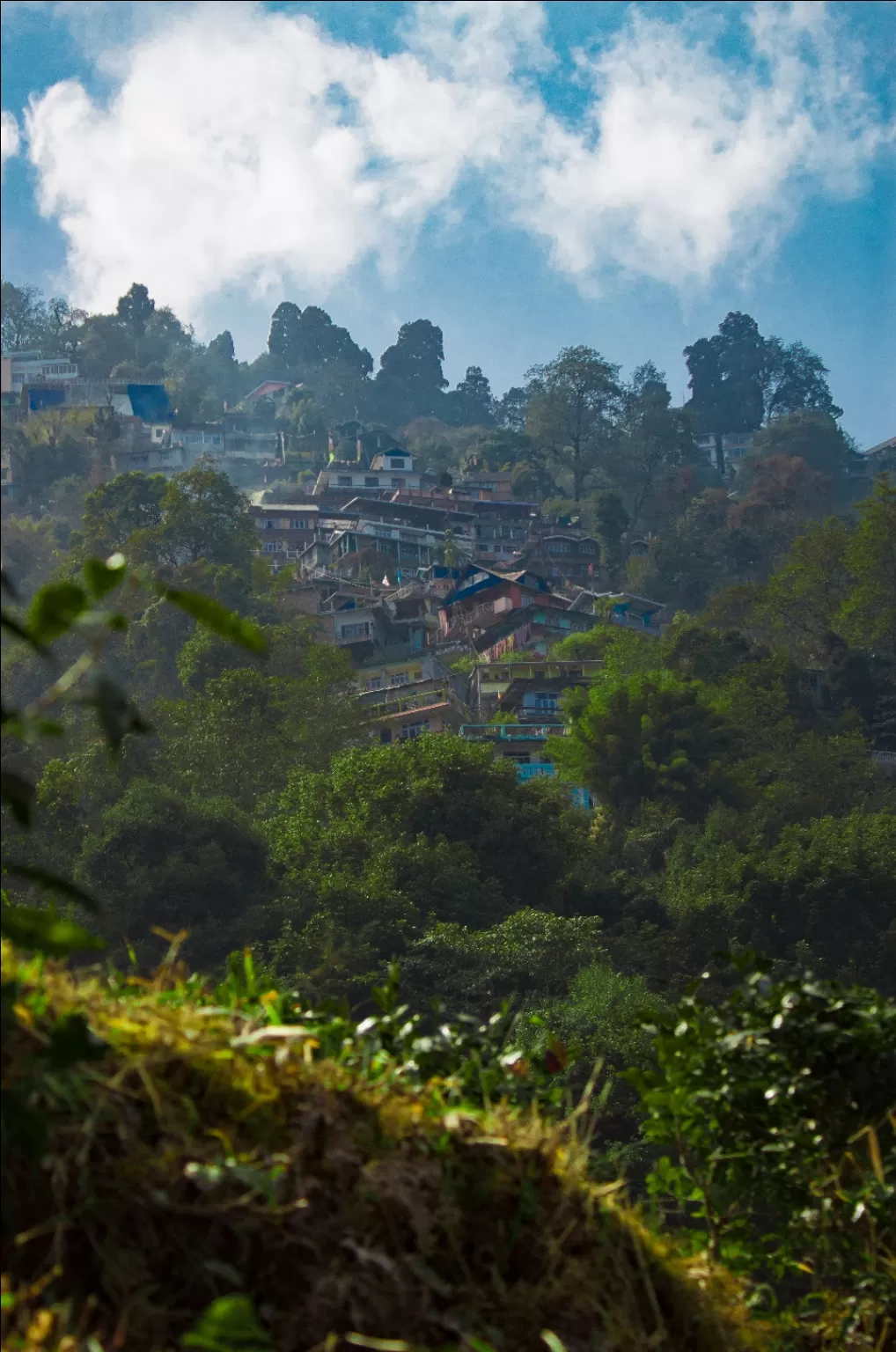 Photo of Darjeeling By Sanya Karna