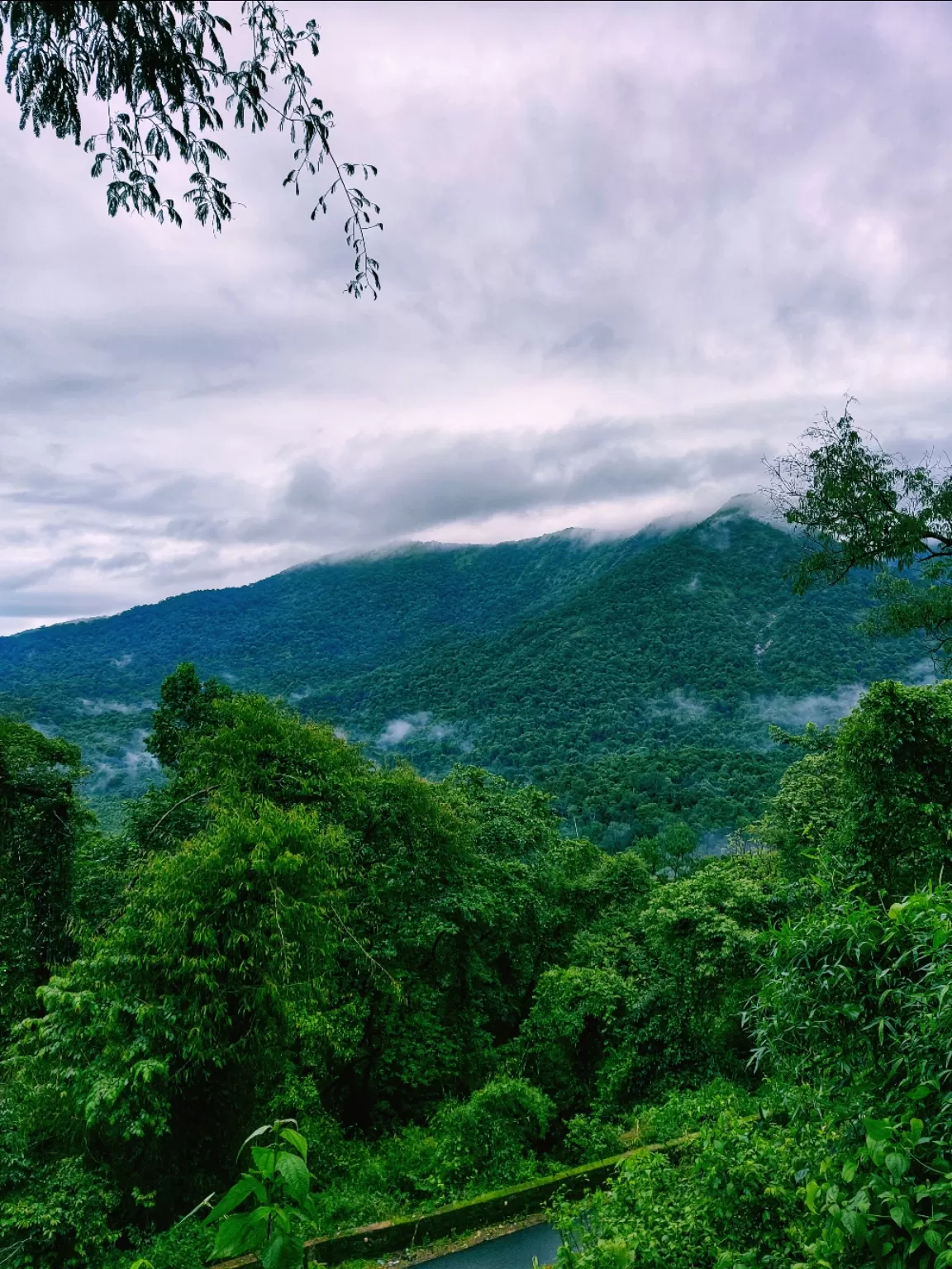 Photo of Charmadi By Sunil Pereira