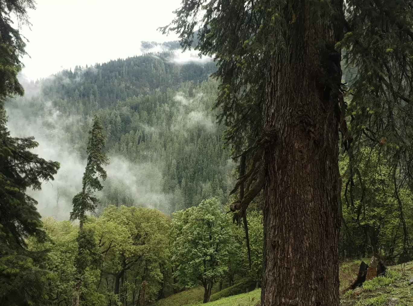 Photo of Shivalik Mountains By Ruchit Jadiya