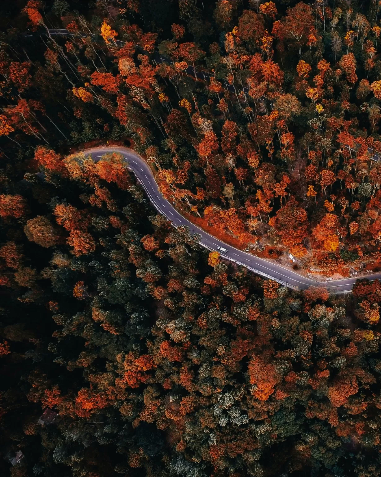 Photo of Yercaud Hill Station By Dhenesh Annamalai