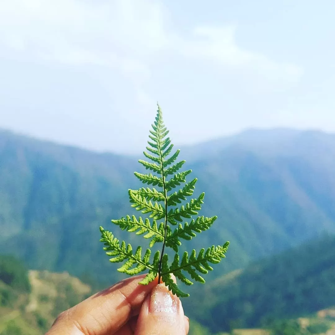 Photo of Almora By Anjali Joshi