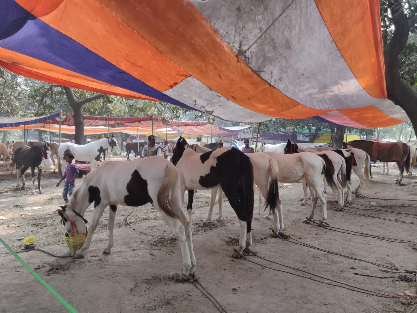 Photo of Sonepur By Pankaj Prajapati