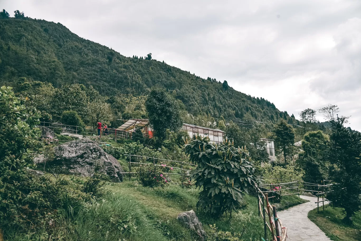 Photo of Sikkim By Pankaj Prajapati