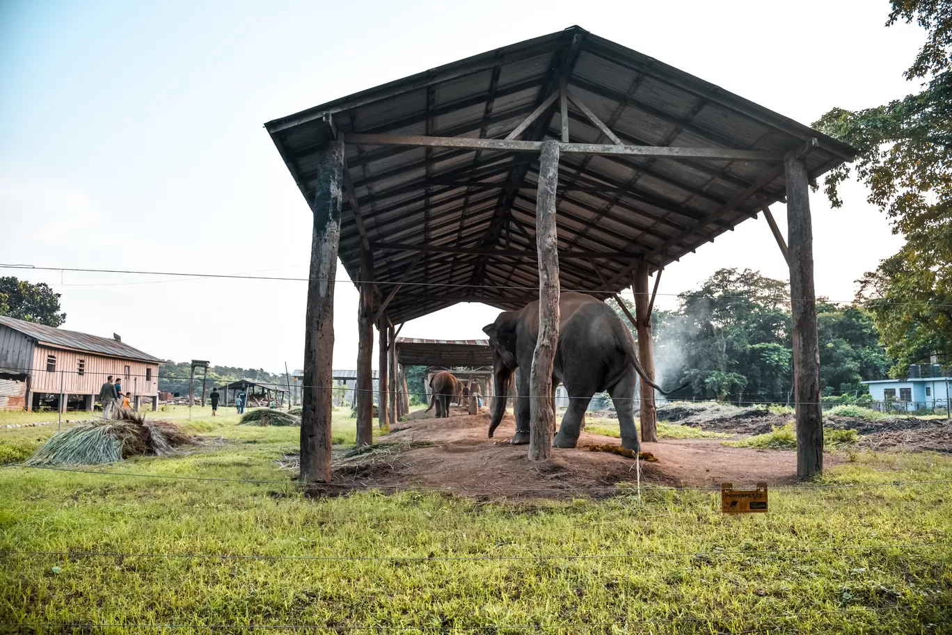 Photo of Chitwan National Park By Pankaj Prajapati