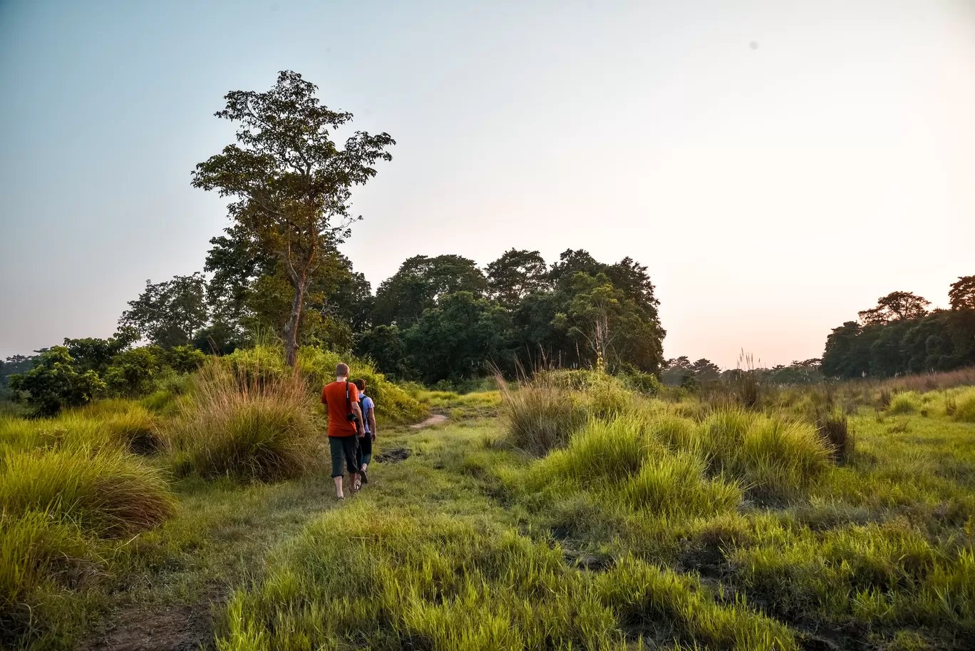 Photo of Chitwan National Park By Pankaj Prajapati