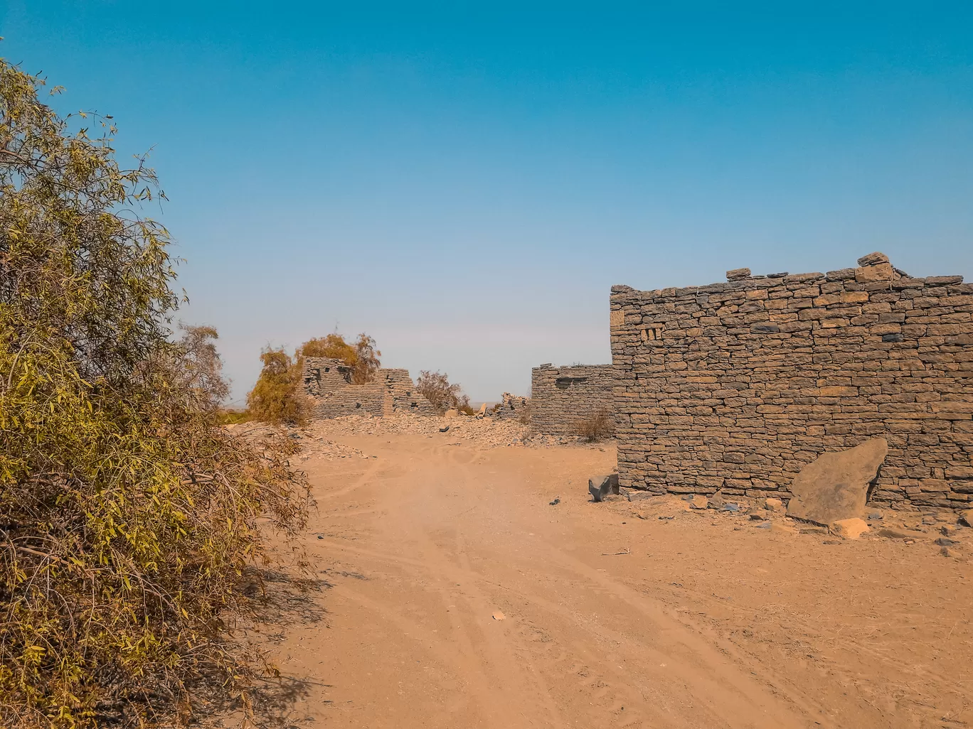 Photo of Jaisalmer By Pankaj Prajapati