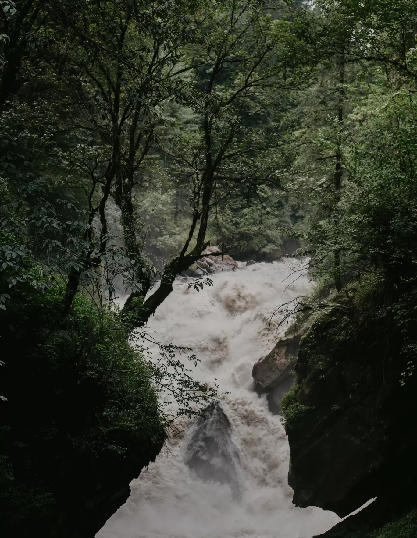 Photo of Kheerganga Trek By Rohit Agrawal