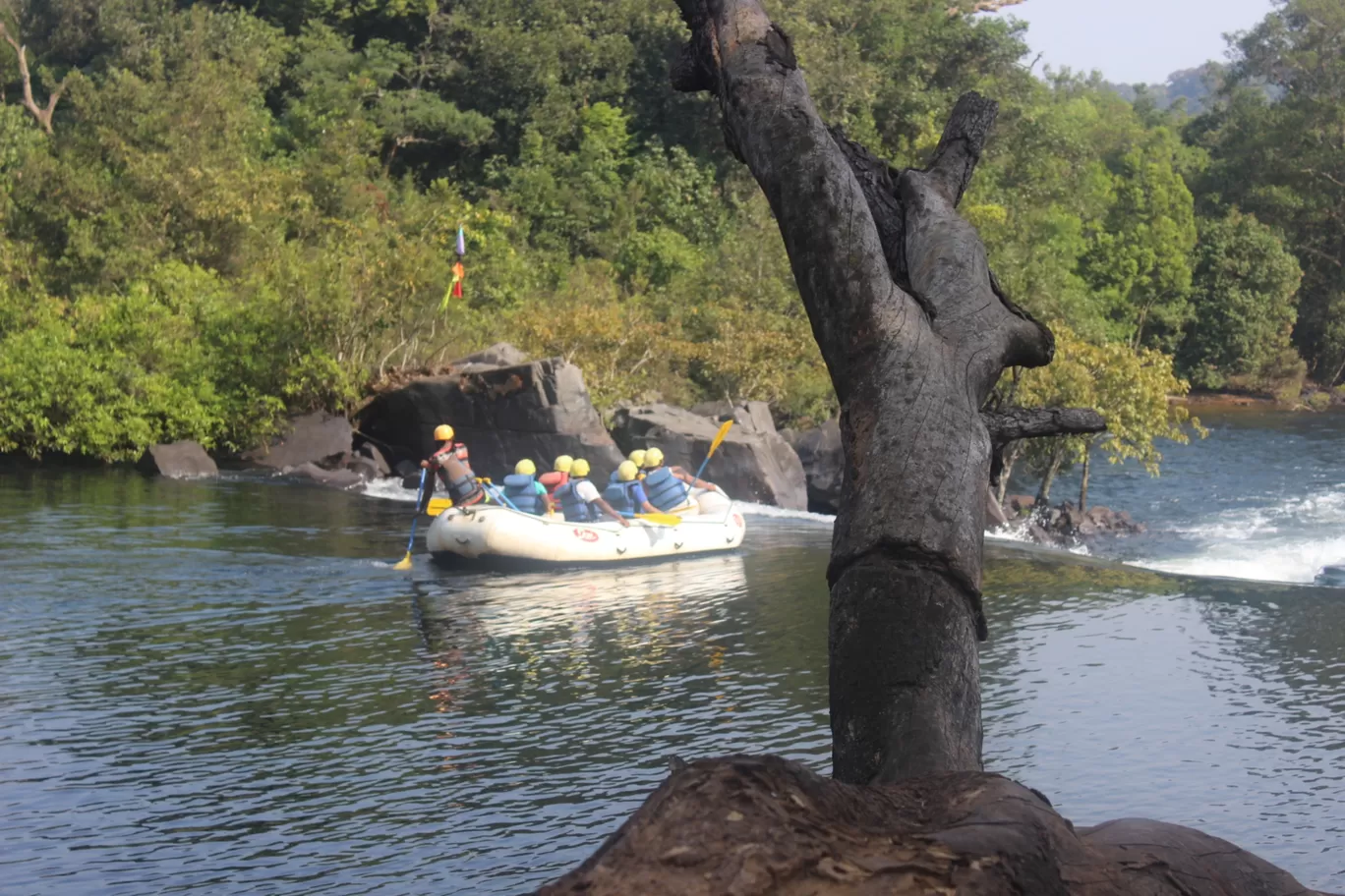 Photo of Bison River Resort Dandeli Booking & Dandeli Resorts and Homestays Booking By Divya Hasti