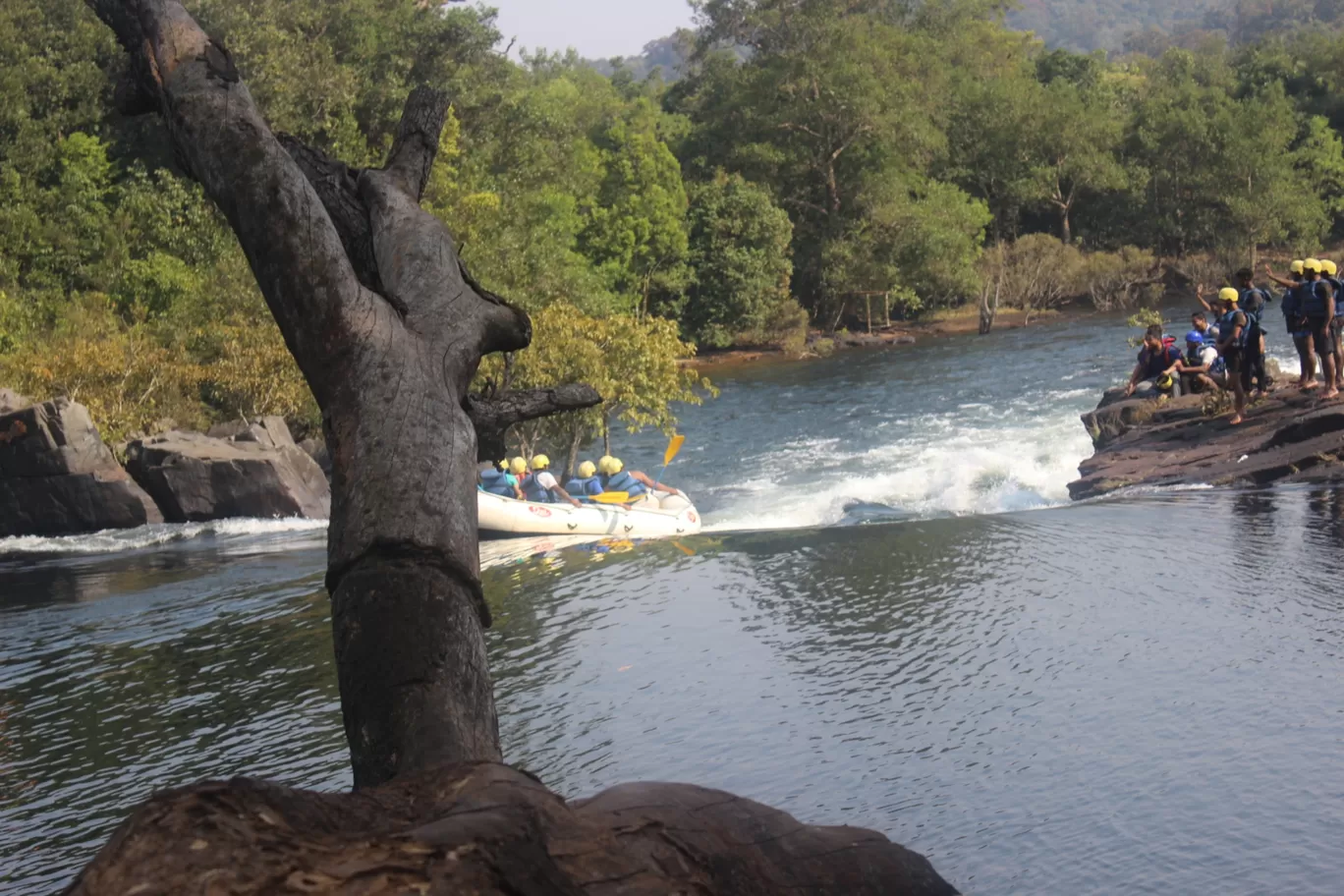 Photo of Bison River Resort Dandeli Booking & Dandeli Resorts and Homestays Booking By Divya Hasti