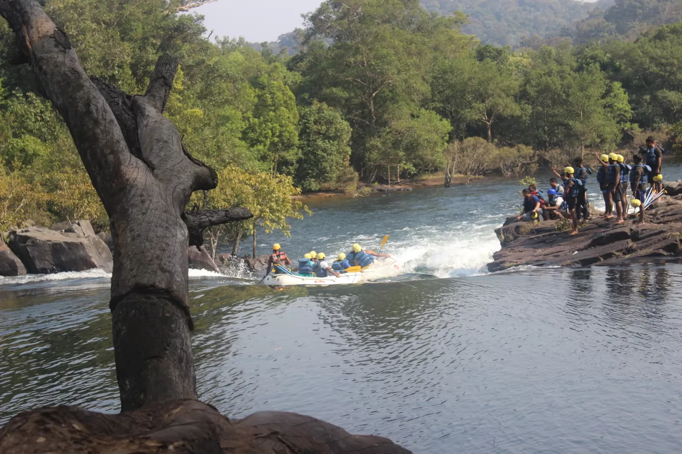 Photo of Bison River Resort Dandeli Booking & Dandeli Resorts and Homestays Booking By Divya Hasti