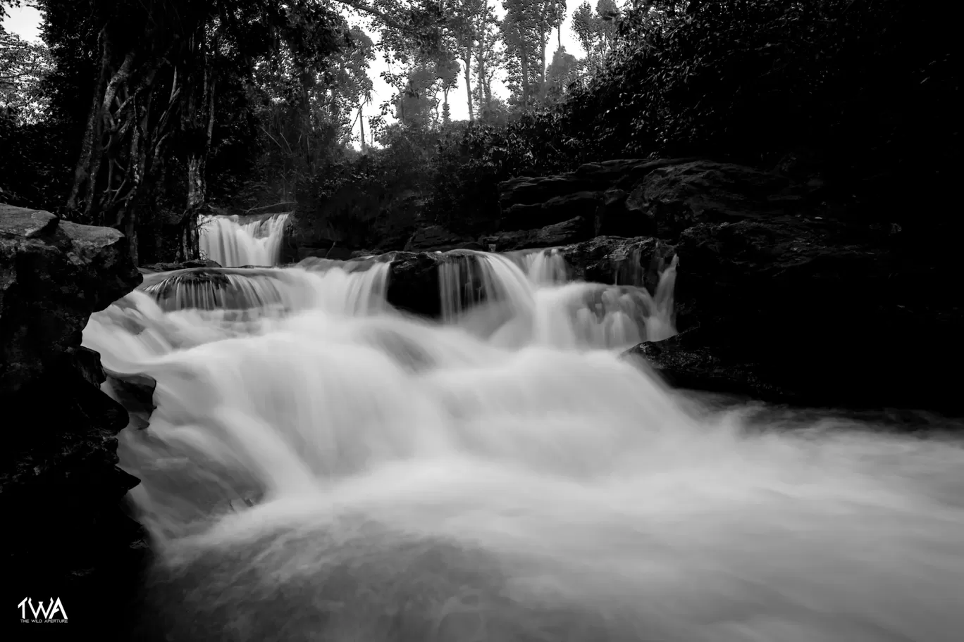 Photo of Sakleshpur By Sanjay K Kumar