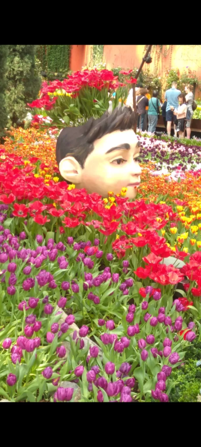 Photo of Singapore By Priyanka Prathamesh | Travelling Soul