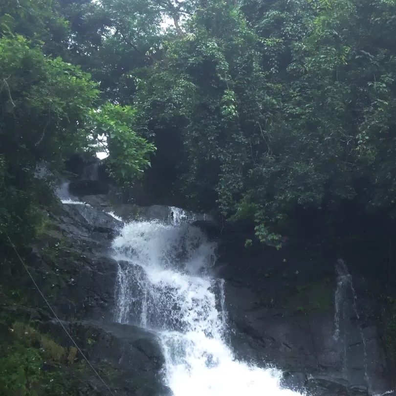 Photo of Valanjamkanam Water Falls By Trisa