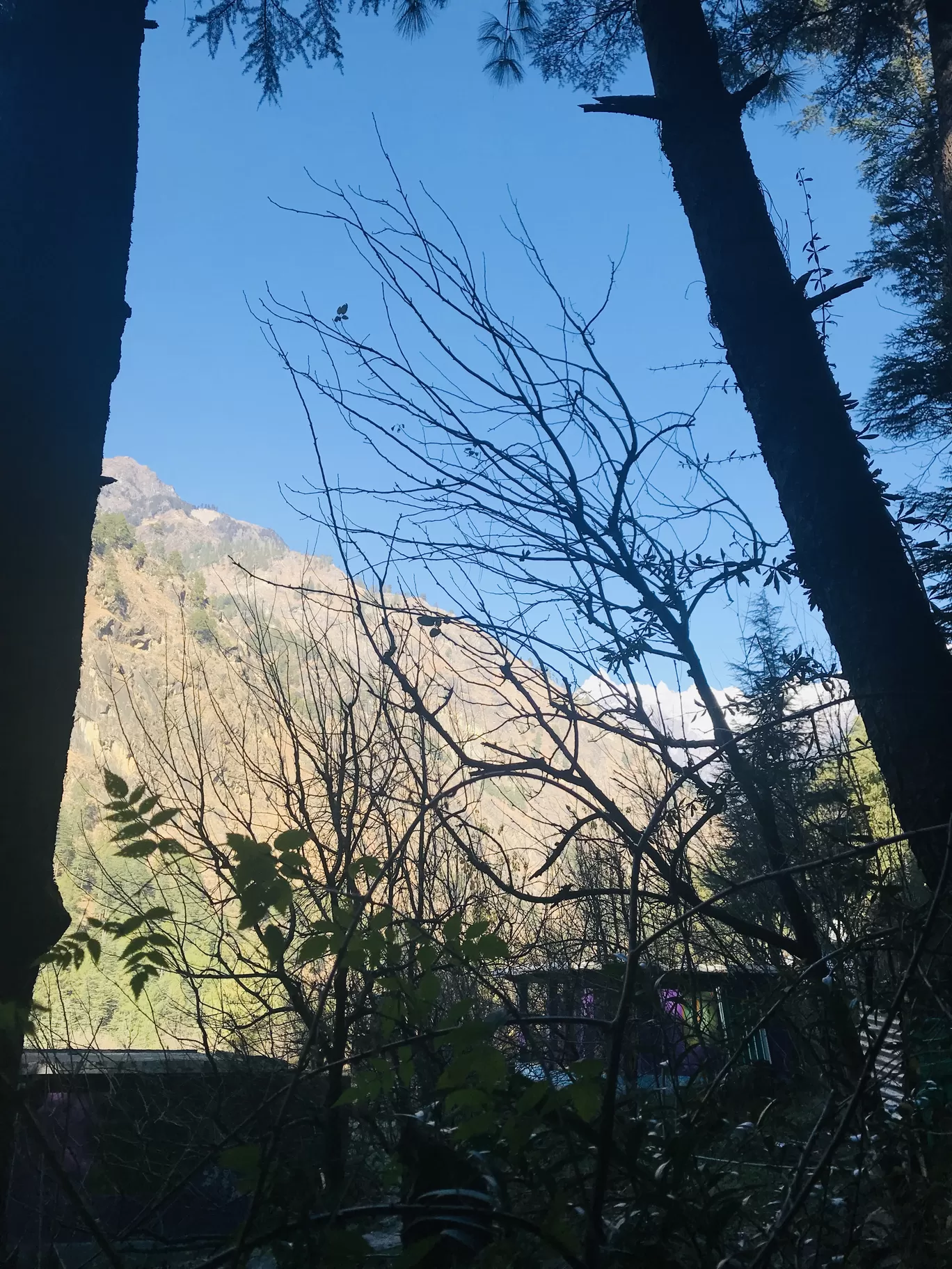 Photo of Kasol By Tanya Bahuguna