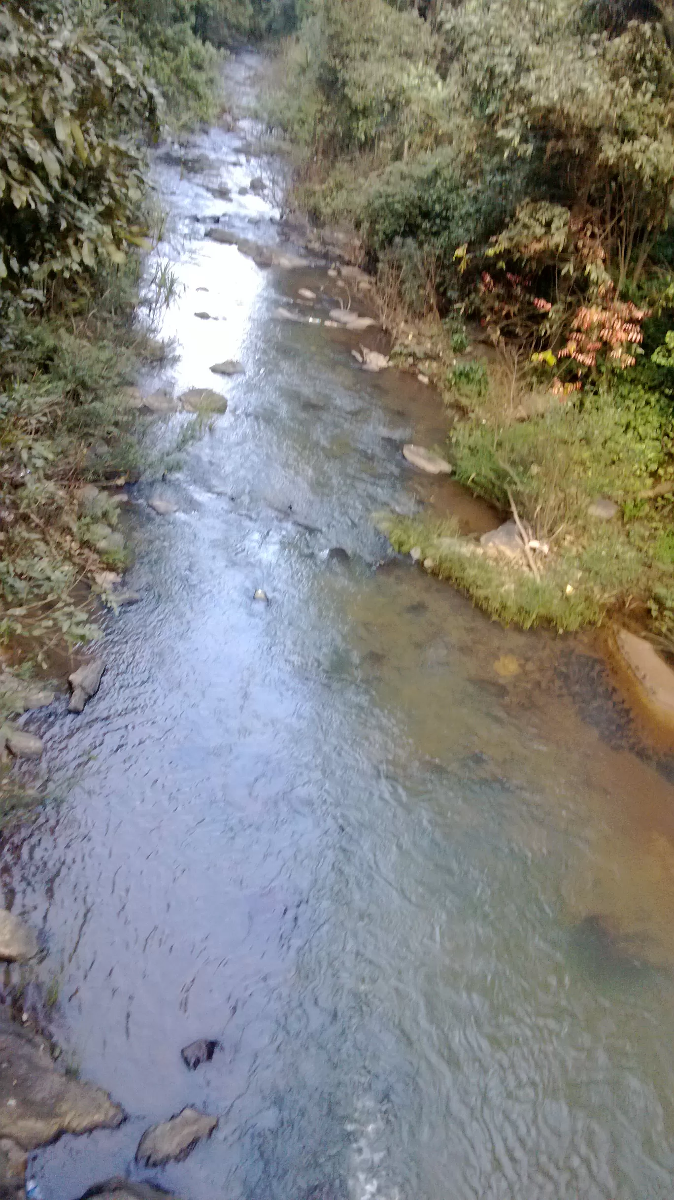 Photo of Madikeri By Krishna Kumar Reddy