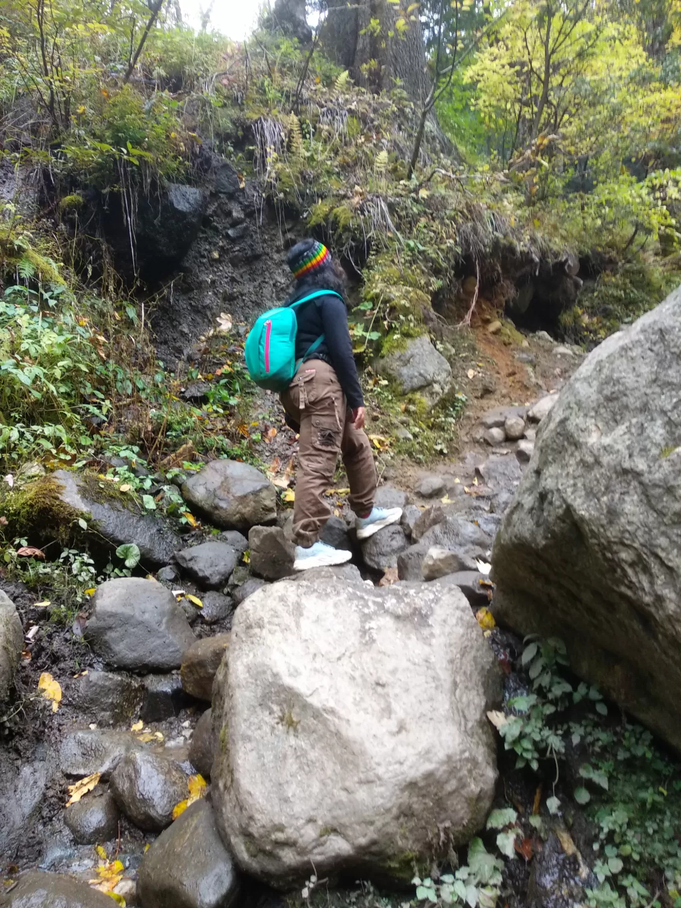 Photo of Kheerganga Camp By Rini Ghosh