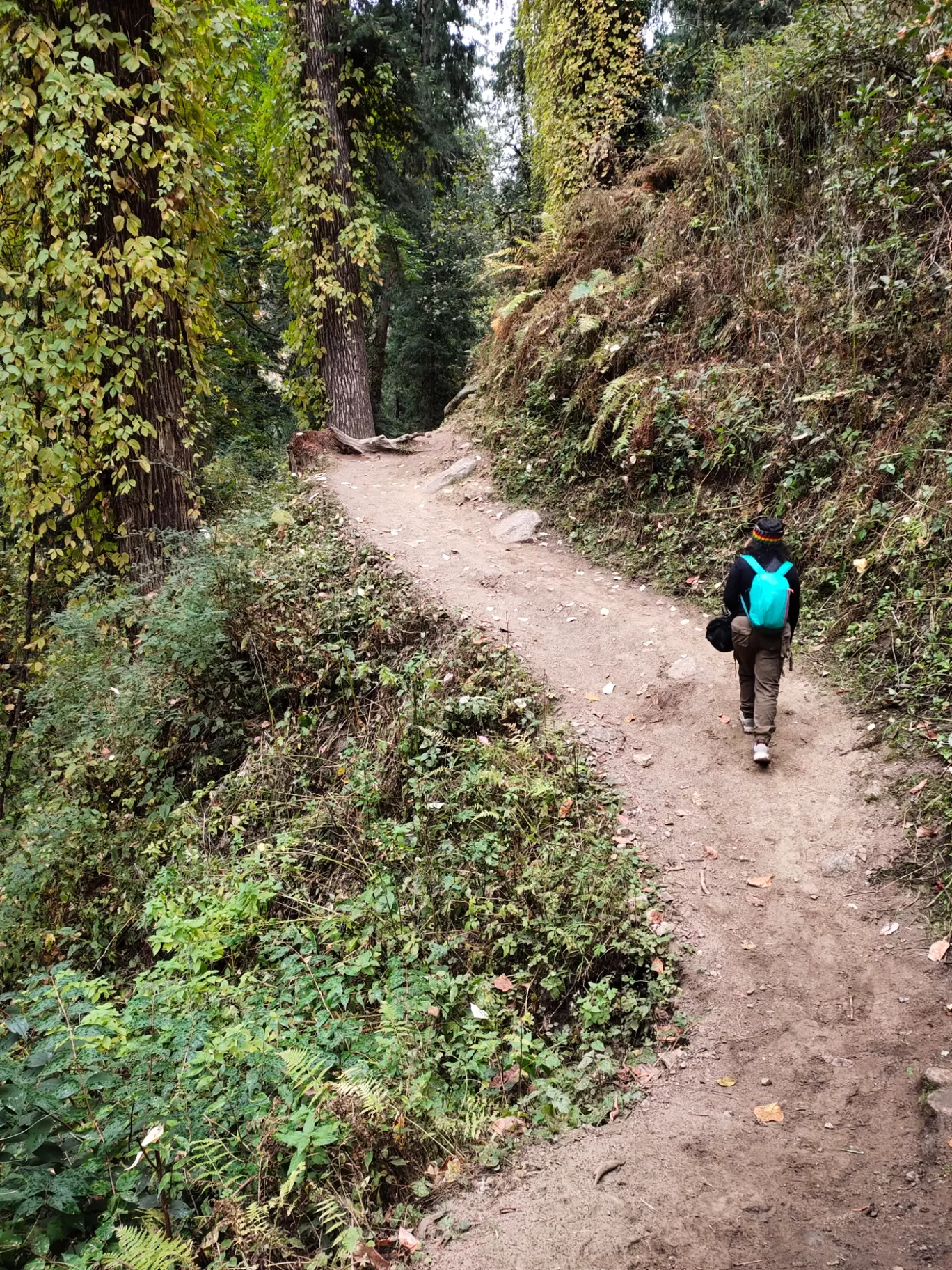 Photo of Kheerganga Camp By Rini Ghosh